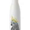 Best reviews of 🤩 Maxwell & Williams Marini Ferlazzo Cockatoo 500ml Double Wall Insulated Bottle White 👍 -Maxwell & Williams Shop unnamed file 1110