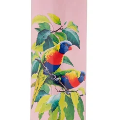 New ✨ Maxwell & Williams Katherine Castle Rainbow Lorikeets Double Wall Insulated Cup 350ml 🎁