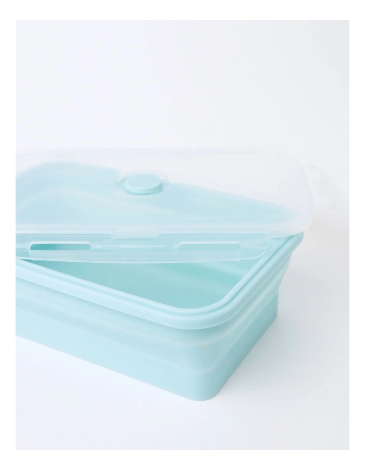 Budget π Vue Collapsible Lunch Boxes Set Of 4 In Mint π 7 Budget π Vue Collapsible Lunch Boxes Set Of 4 In Mint π - Image 5