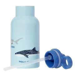 Wholesale 😀 Australian Marine Conservation Society Save Our Sharks Kids Drink Bottle 350ml In Blue ✔️ -Maxwell & Williams Shop unnamed file 862