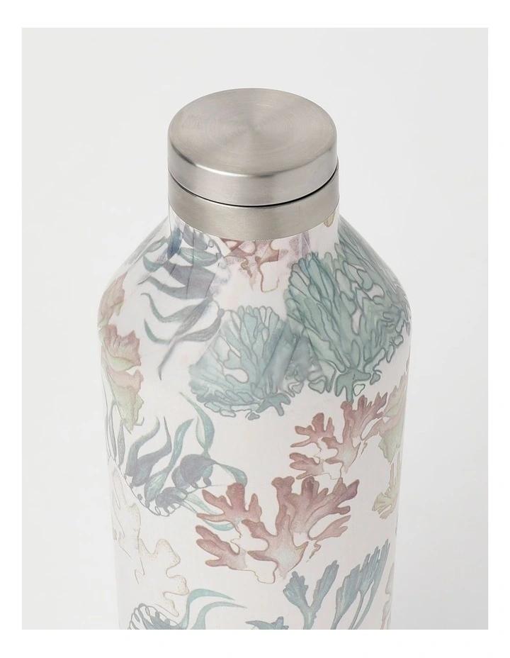 Flash Sale π Australian Marine Conservation Society Sunshine Coast Drink Bottle 500ml β 4 Flash Sale π Australian Marine Conservation Society Sunshine Coast Drink Bottle 500ml β - Image 2